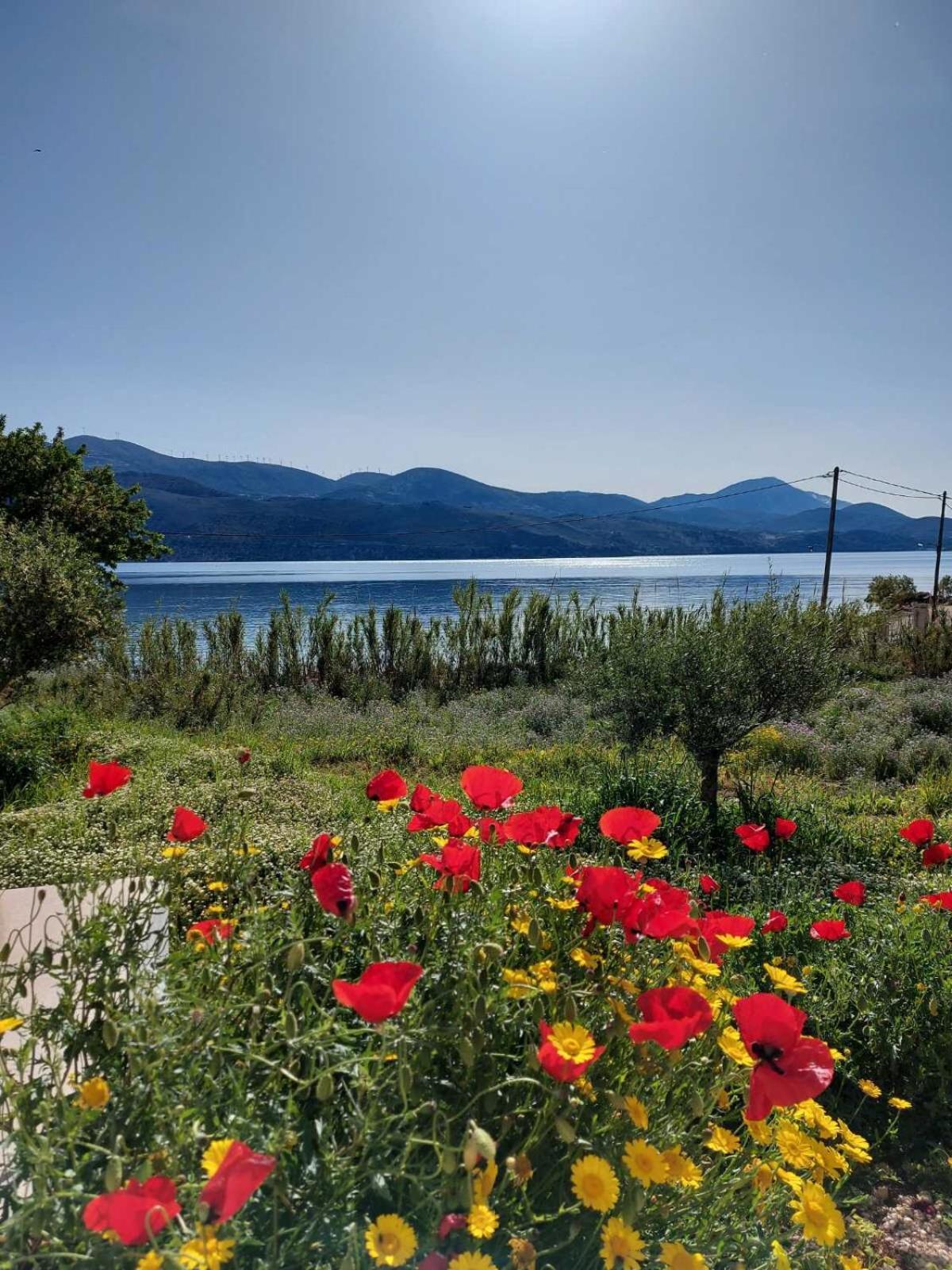 Apollonides - Holiday Home Melete Lixouri Exterior foto