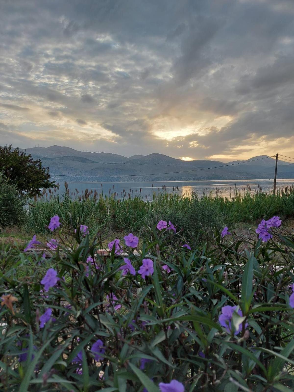 Apollonides - Holiday Home Melete Lixouri Exterior foto